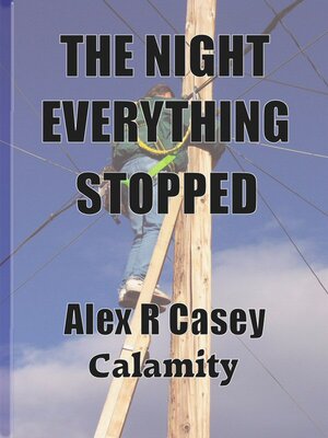 cover image of The Night Everything Stopped